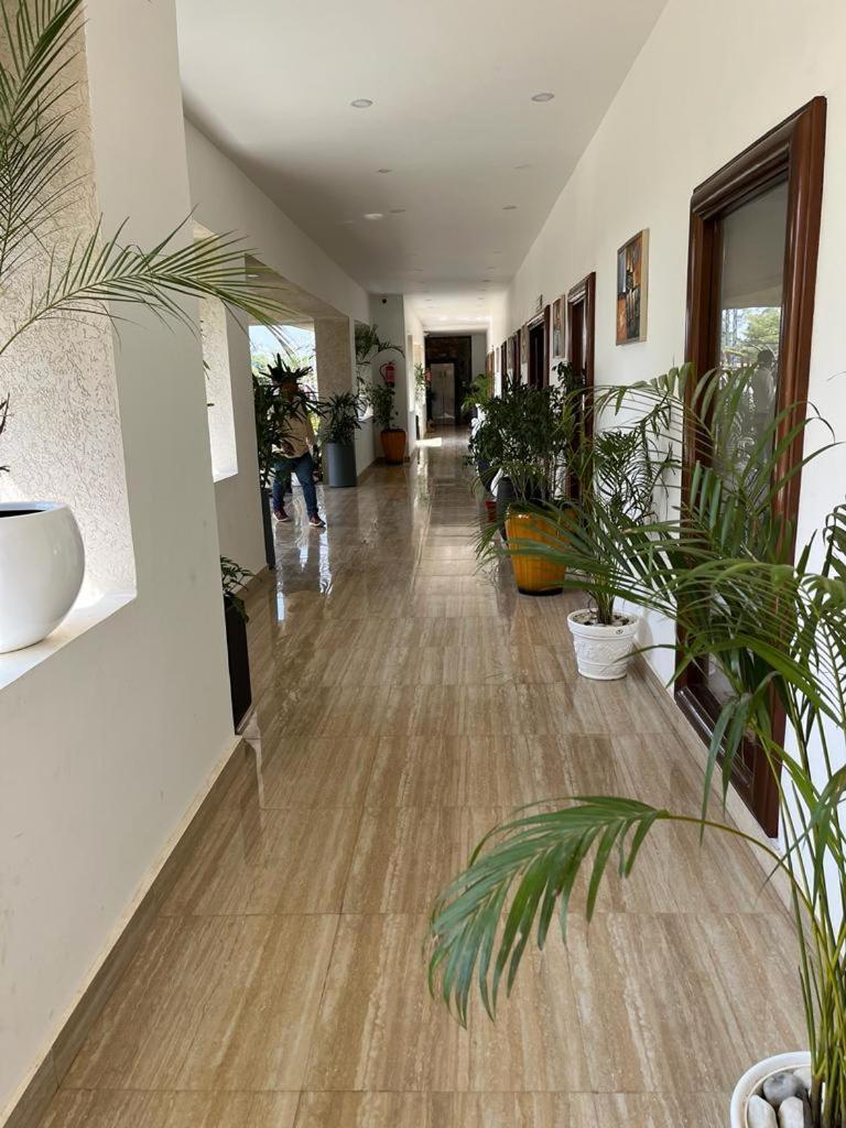 Hotel Eco Park Rewa Kültér fotó